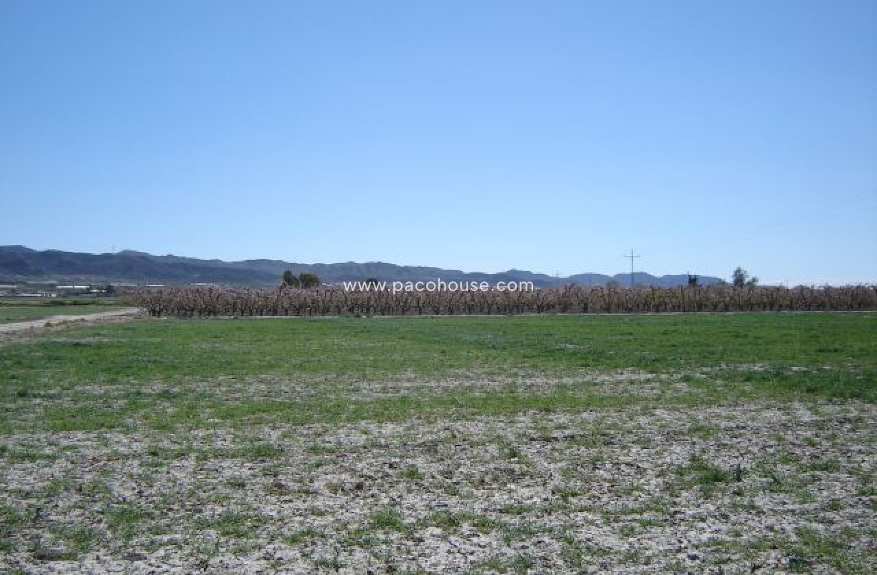 Resale - Plot / Land -
Purias