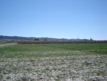 Resale - Plot / Land -
Purias
