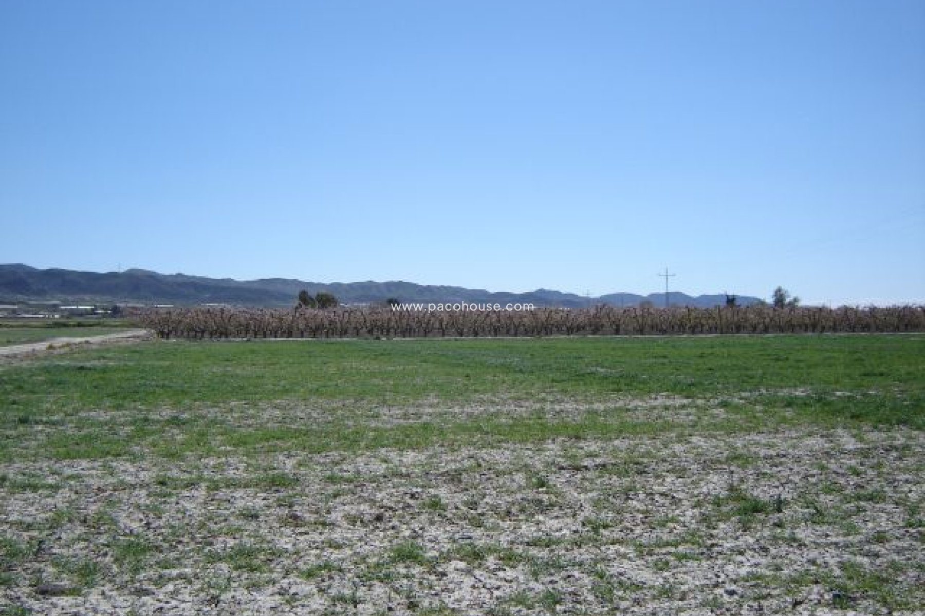 Resale - Plot / Land -
Purias