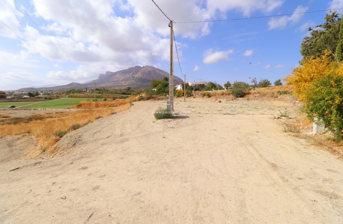 Resale - Plot / Land -
Velez-Rubio