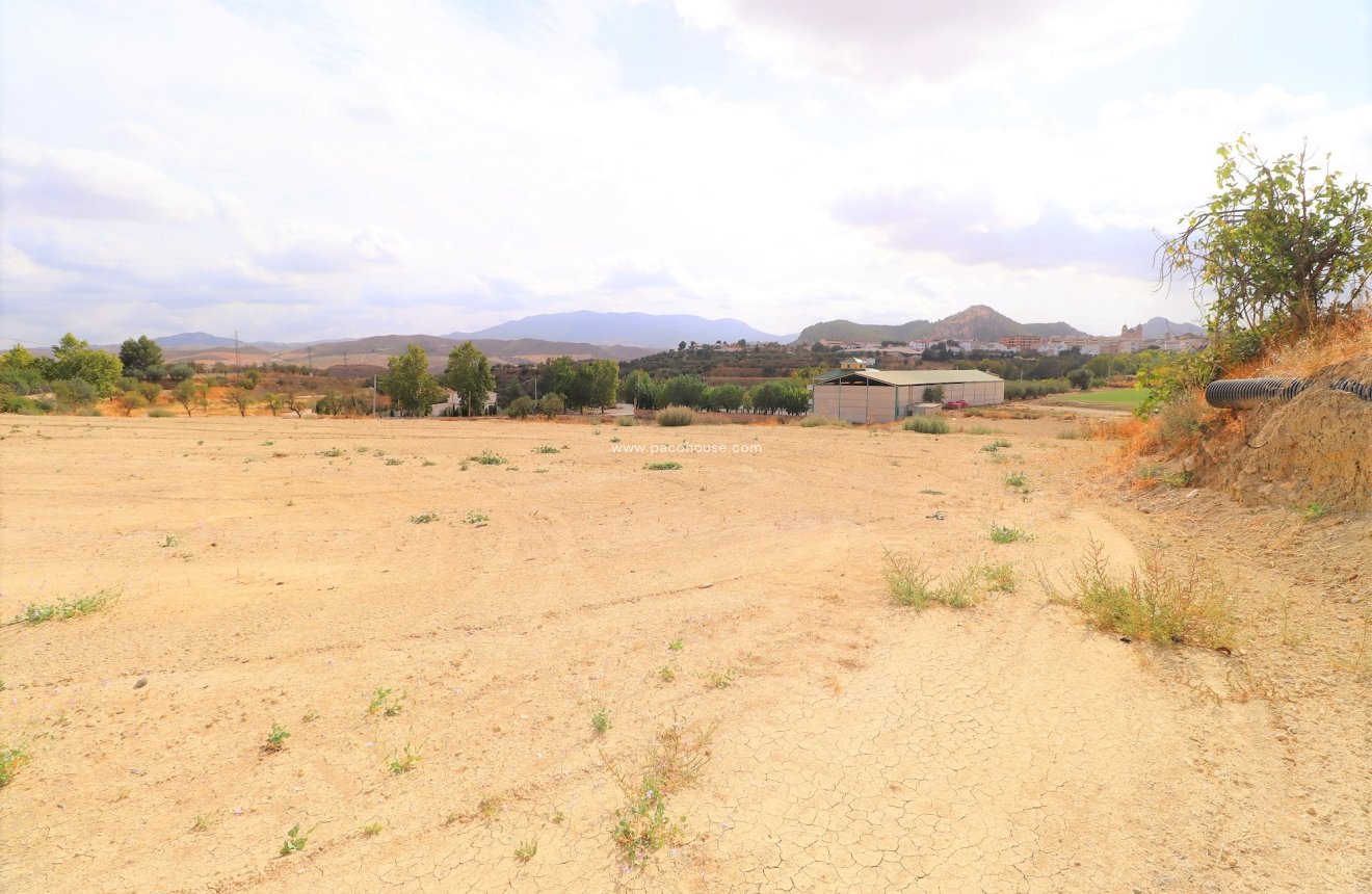 Resale - Plot / Land -
Velez-Rubio