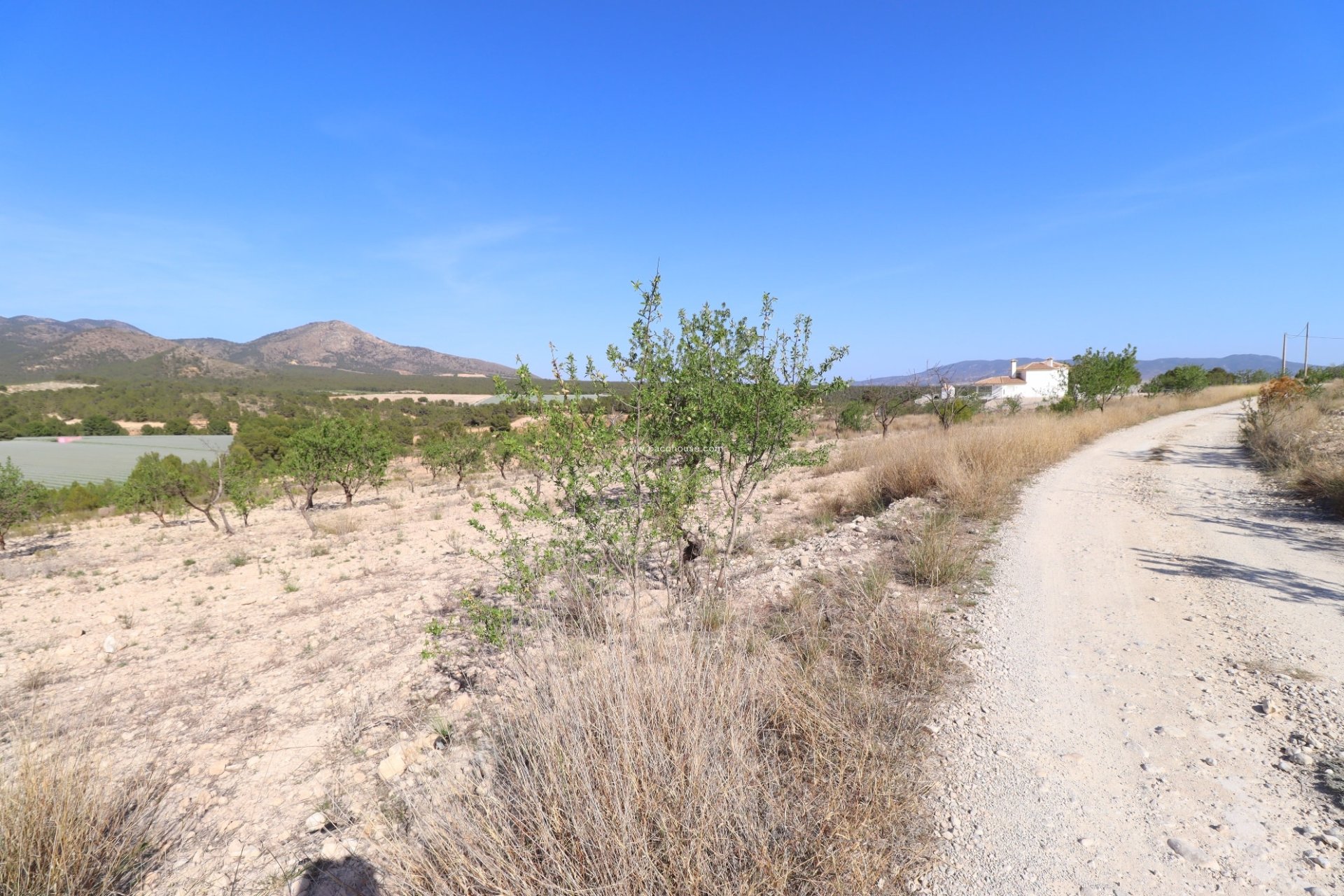 Resale - Plot / Land -
Zarzadilla De Totana