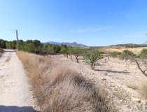 Resale - Plot / Land -
Zarzadilla De Totana