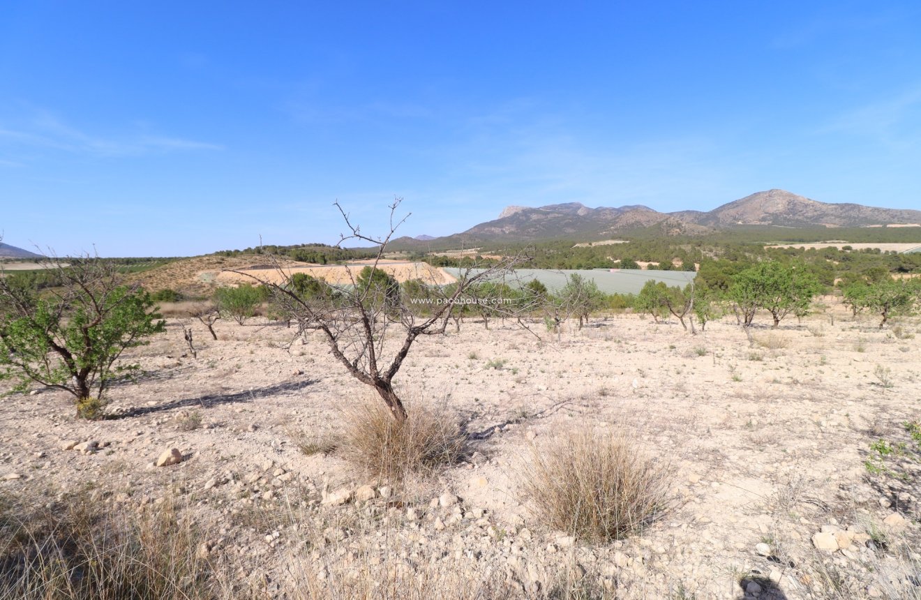 Resale - Plot / Land -
Zarzadilla De Totana
