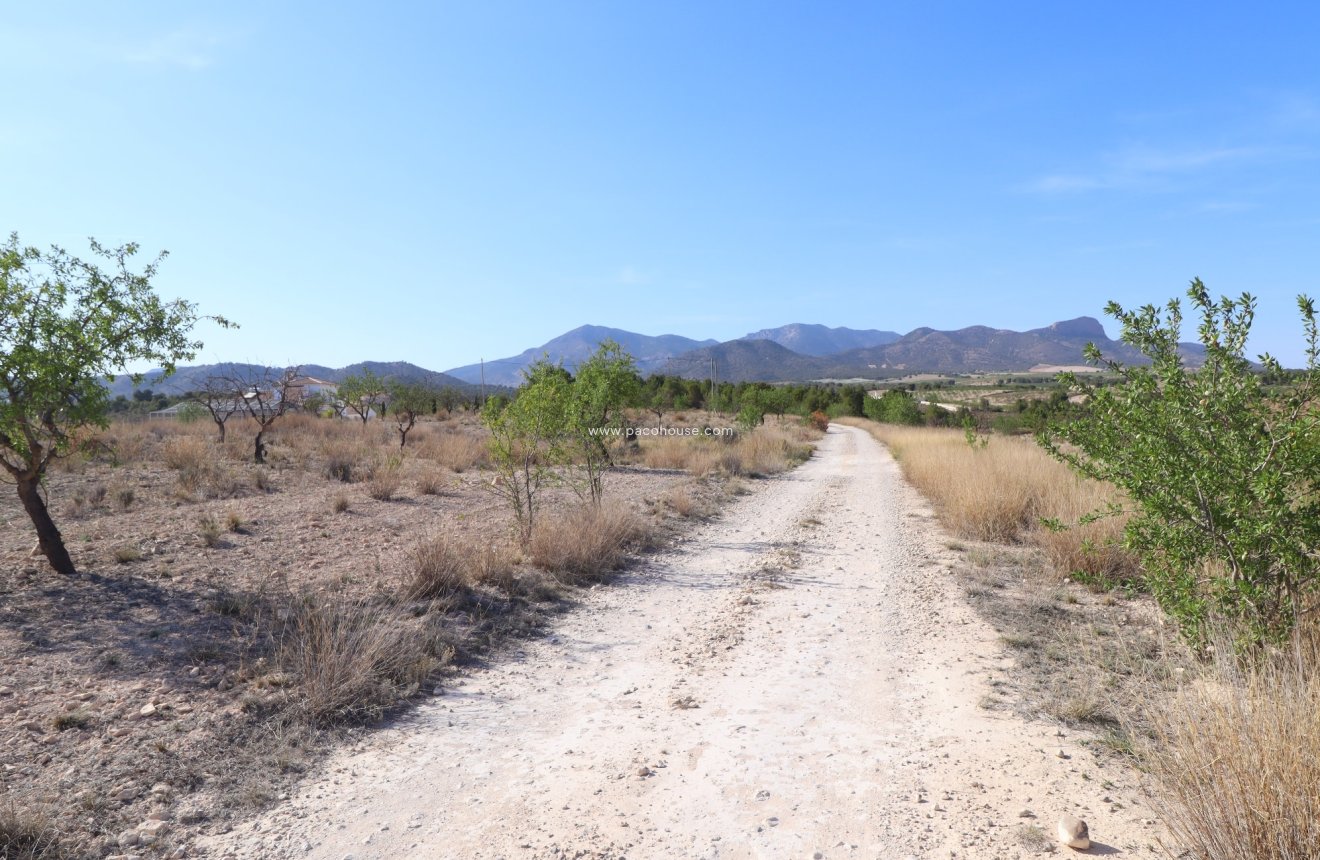 Resale - Plot / Land -
Zarzadilla De Totana
