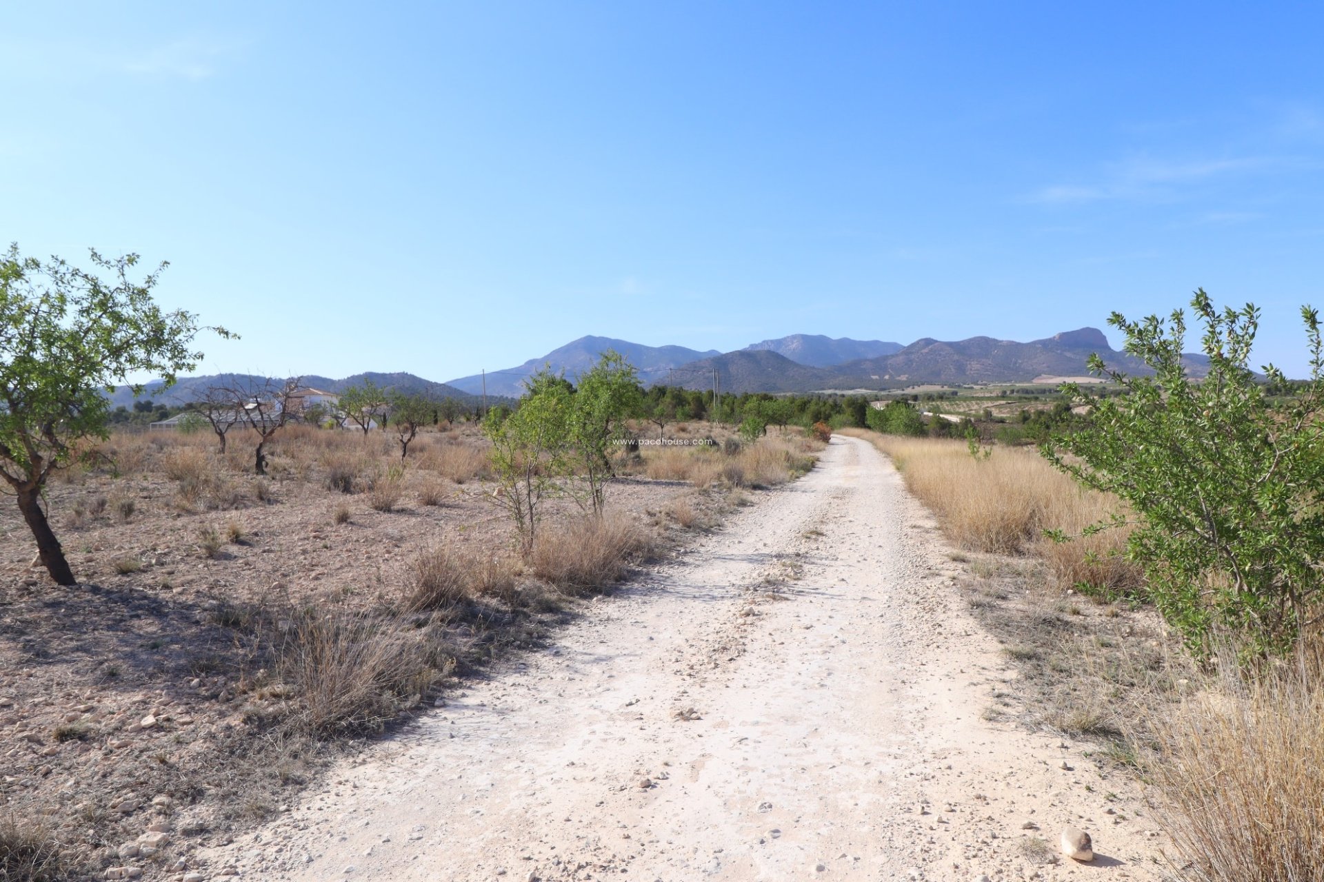 Resale - Plot / Land -
Zarzadilla De Totana