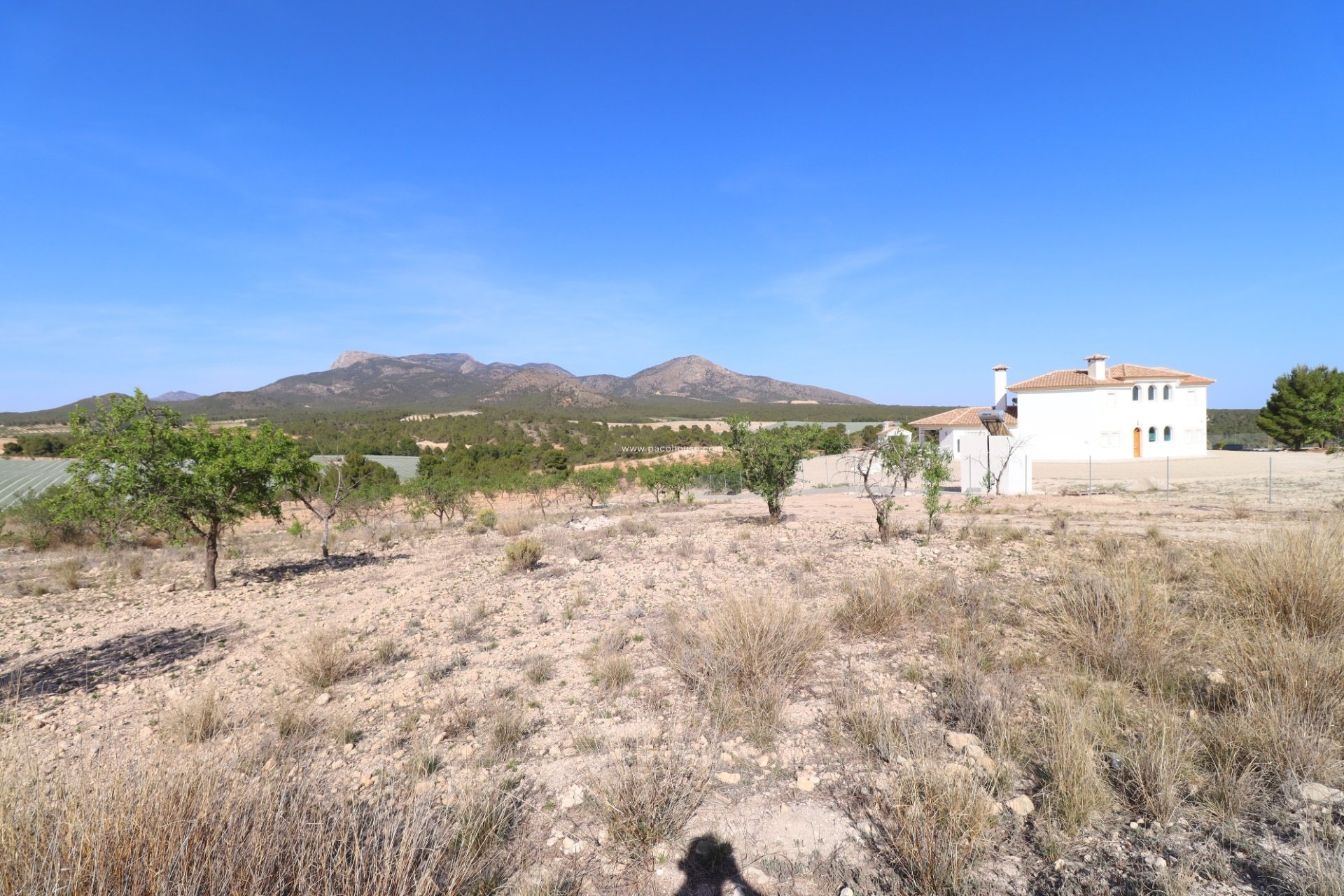 Resale - Plot / Land -
Zarzadilla De Totana