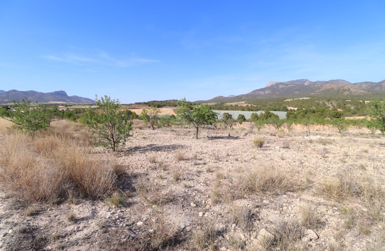 Resale - Plot / Land -
Zarzadilla De Totana
