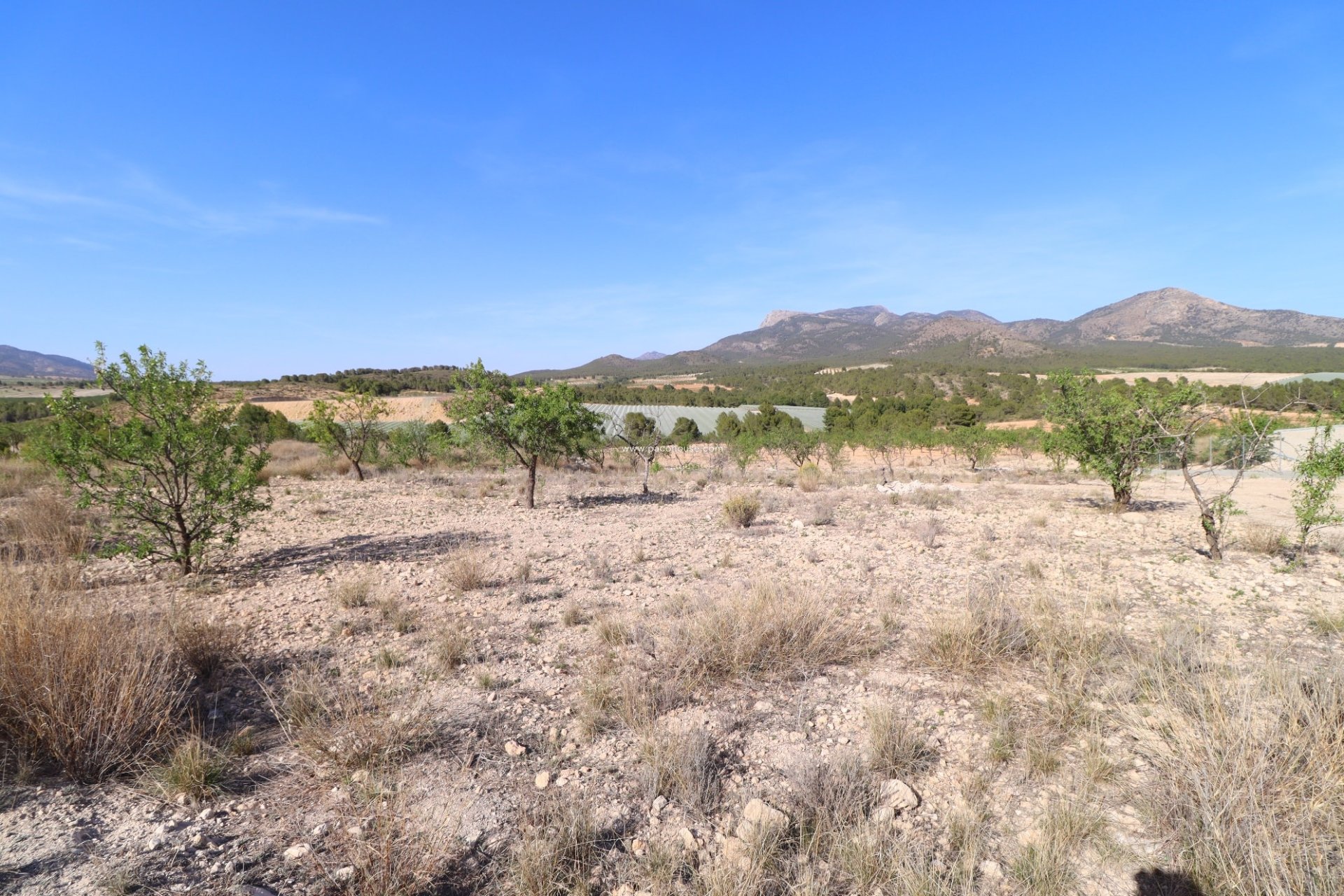 Resale - Plot / Land -
Zarzadilla De Totana