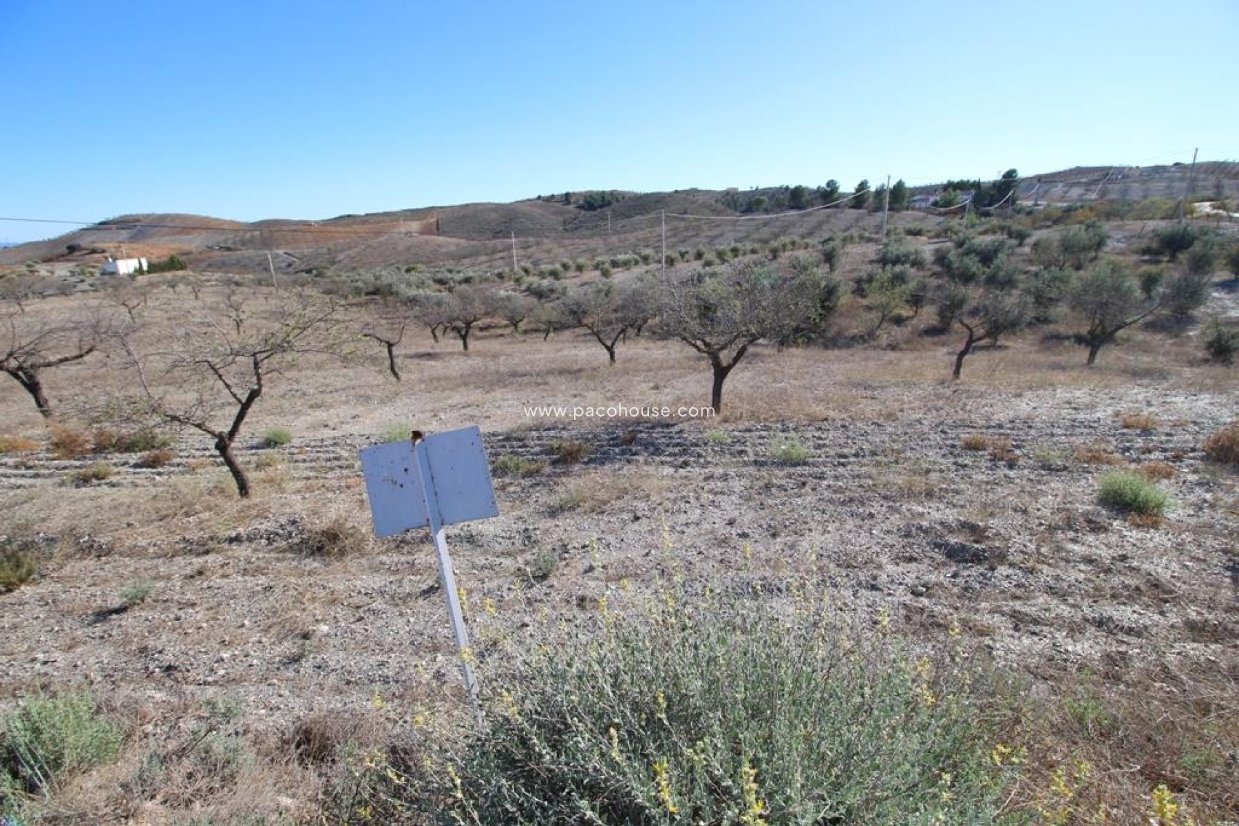 Resale - Plot / Land -
Zarzalico