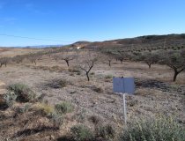 Resale - Plot / Land -
Zarzalico