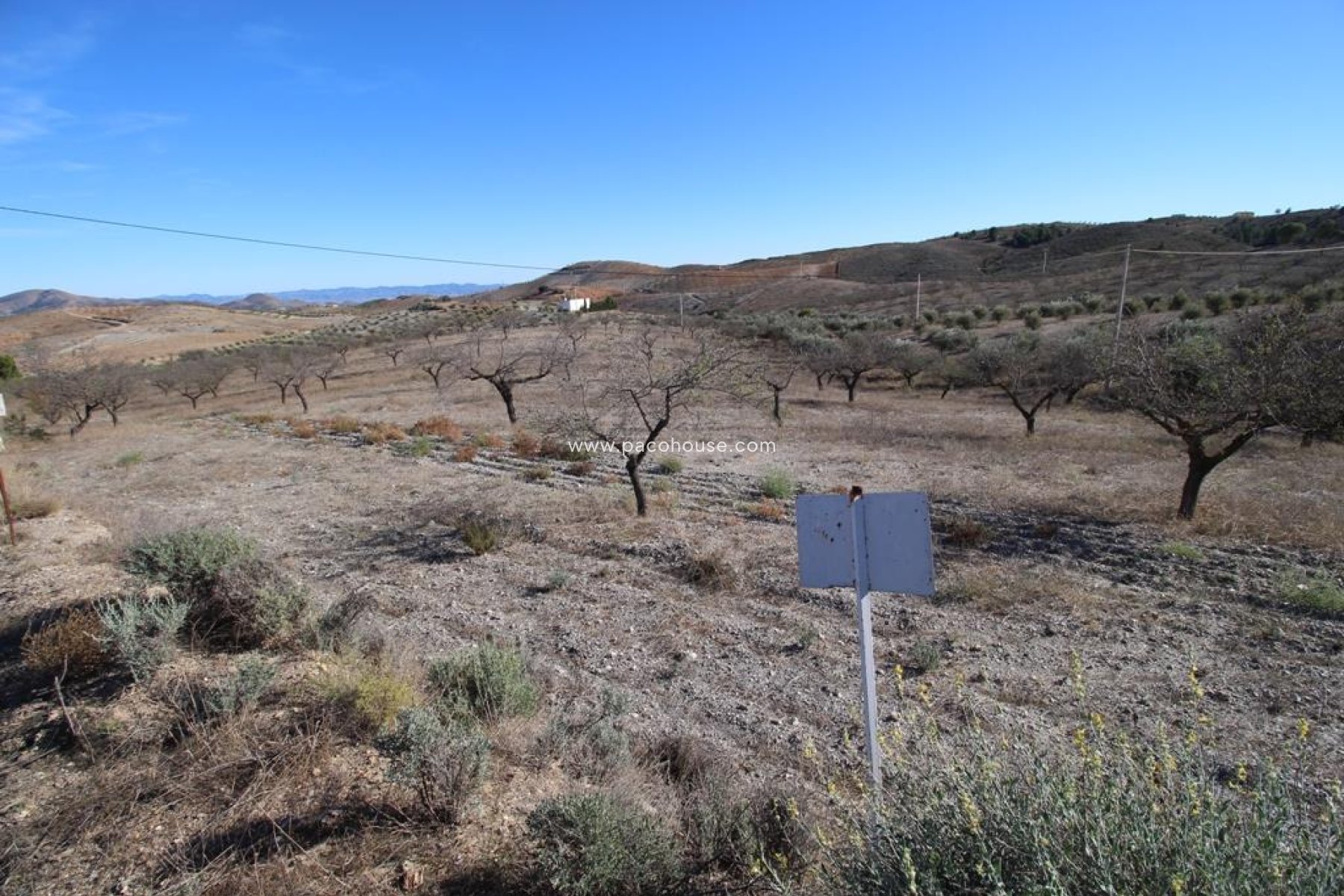 Resale - Plot / Land -
Zarzalico