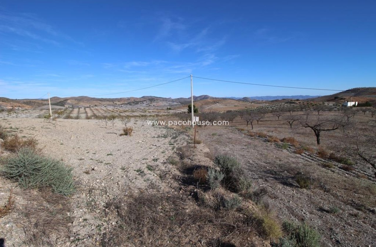 Resale - Plot / Land -
Zarzalico