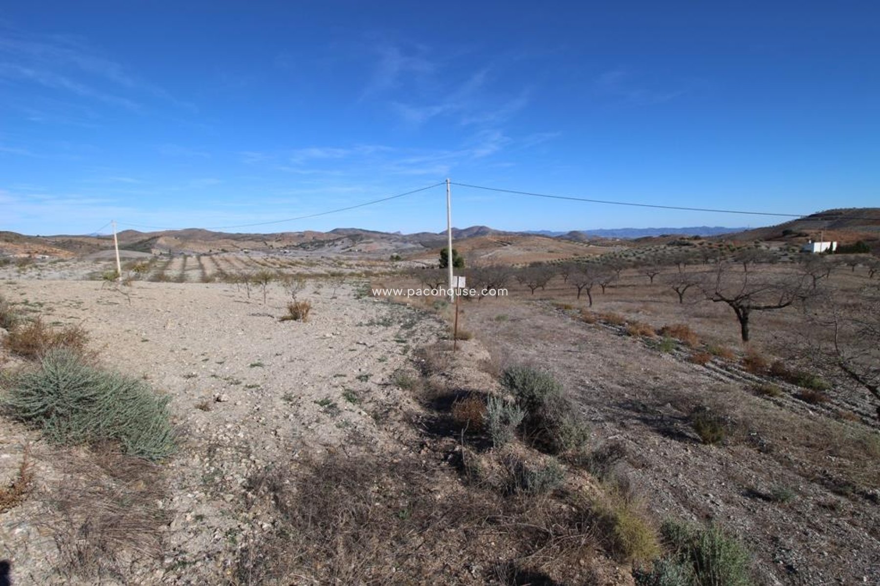 Resale - Plot / Land -
Zarzalico