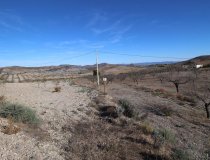 Resale - Plot / Land -
Zarzalico