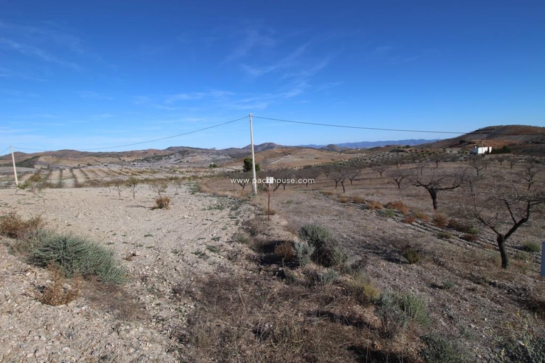 Resale - Plot / Land -
Zarzalico