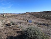 Resale - Plot / Land -
Zarzalico