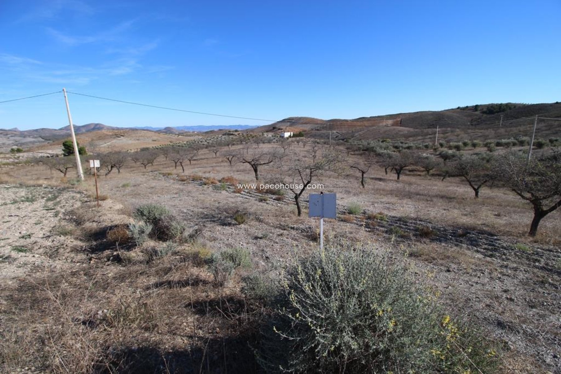 Resale - Plot / Land -
Zarzalico