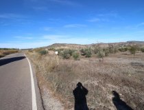 Resale - Plot / Land -
Zarzalico