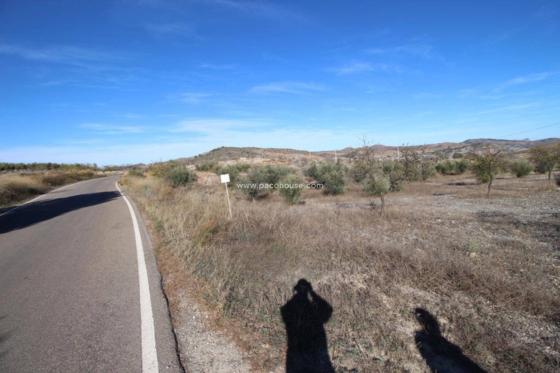 Resale - Plot / Land -
Zarzalico