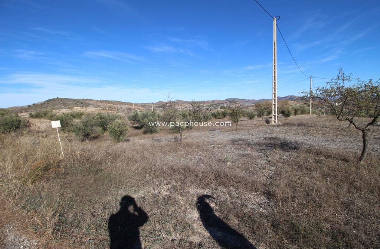Resale - Plot / Land -
Zarzalico