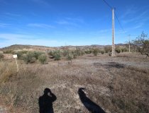 Resale - Plot / Land -
Zarzalico