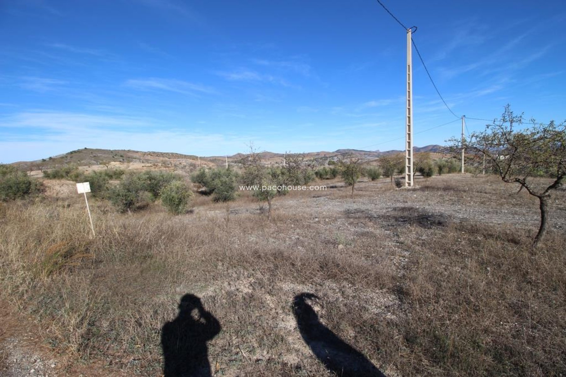 Resale - Plot / Land -
Zarzalico