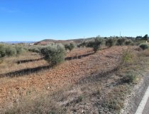 Resale - Plot / Land -
Zarzalico