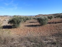 Resale - Plot / Land -
Zarzalico