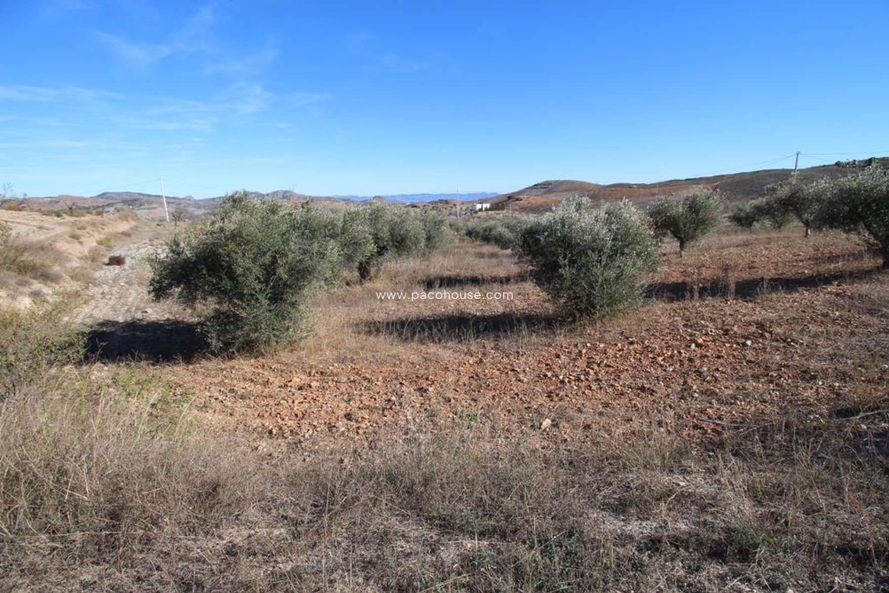 Resale - Plot / Land -
Zarzalico