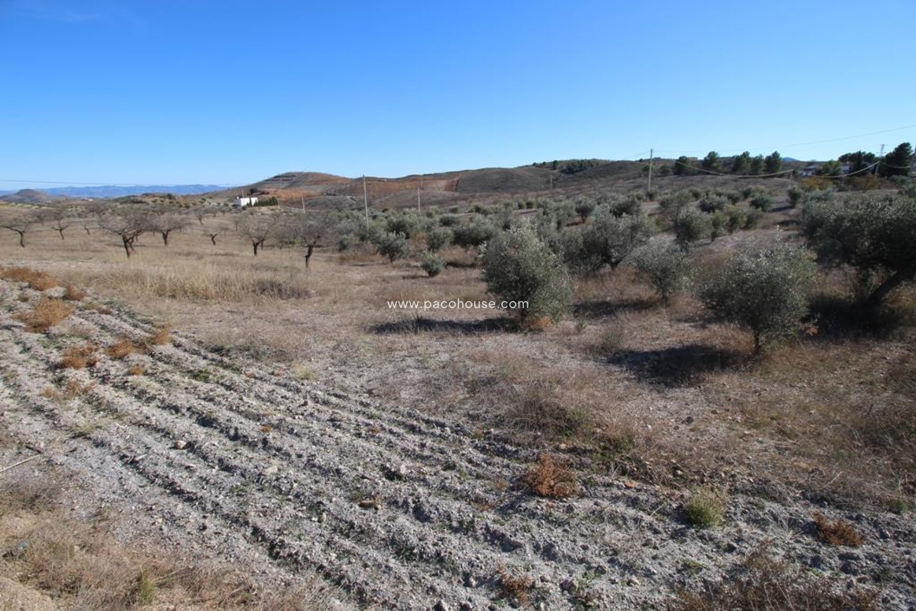 Resale - Plot / Land -
Zarzalico