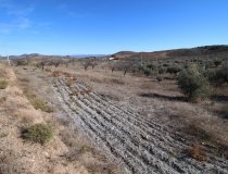 Resale - Plot / Land -
Zarzalico