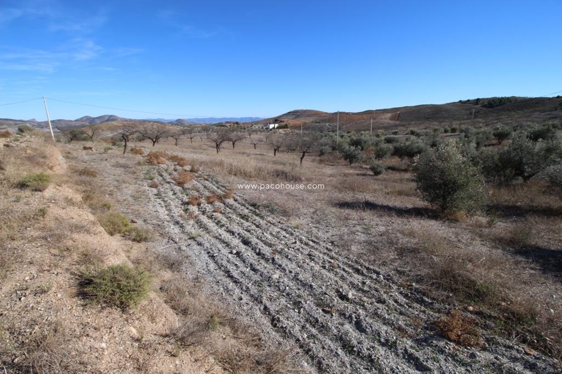 Resale - Plot / Land -
Zarzalico