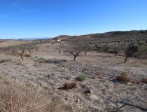 Resale - Plot / Land -
Zarzalico