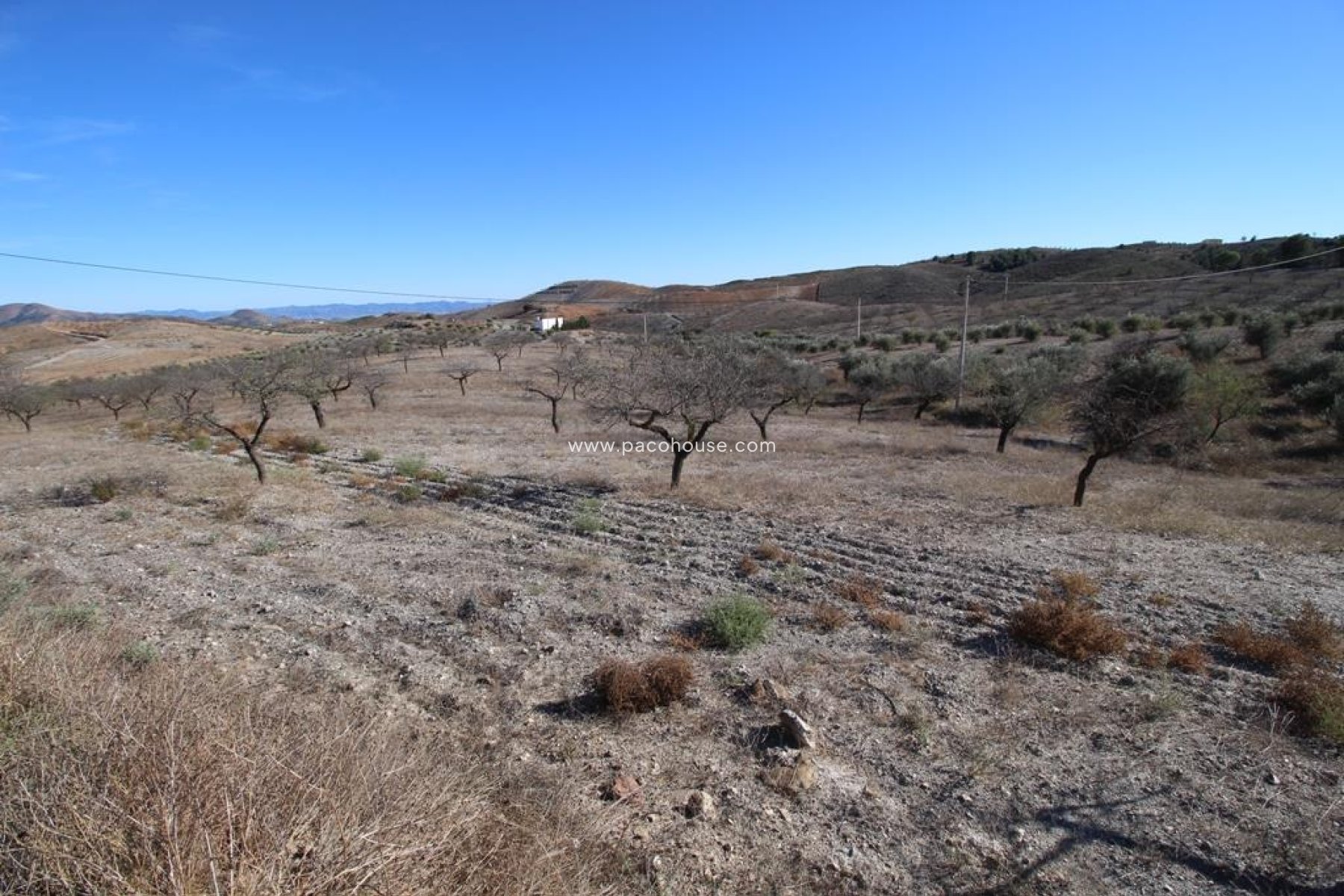 Resale - Plot / Land -
Zarzalico