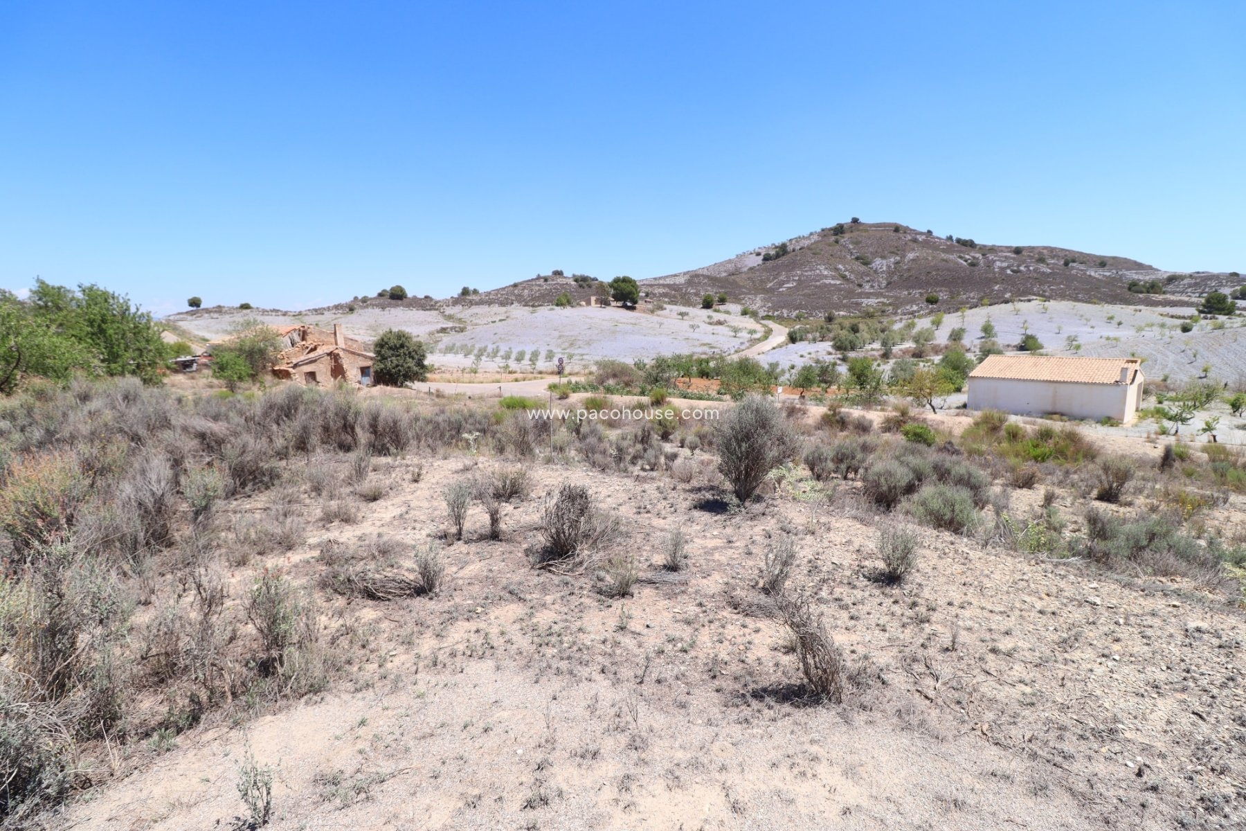 Resale - Plot / Land -
Zarzalico