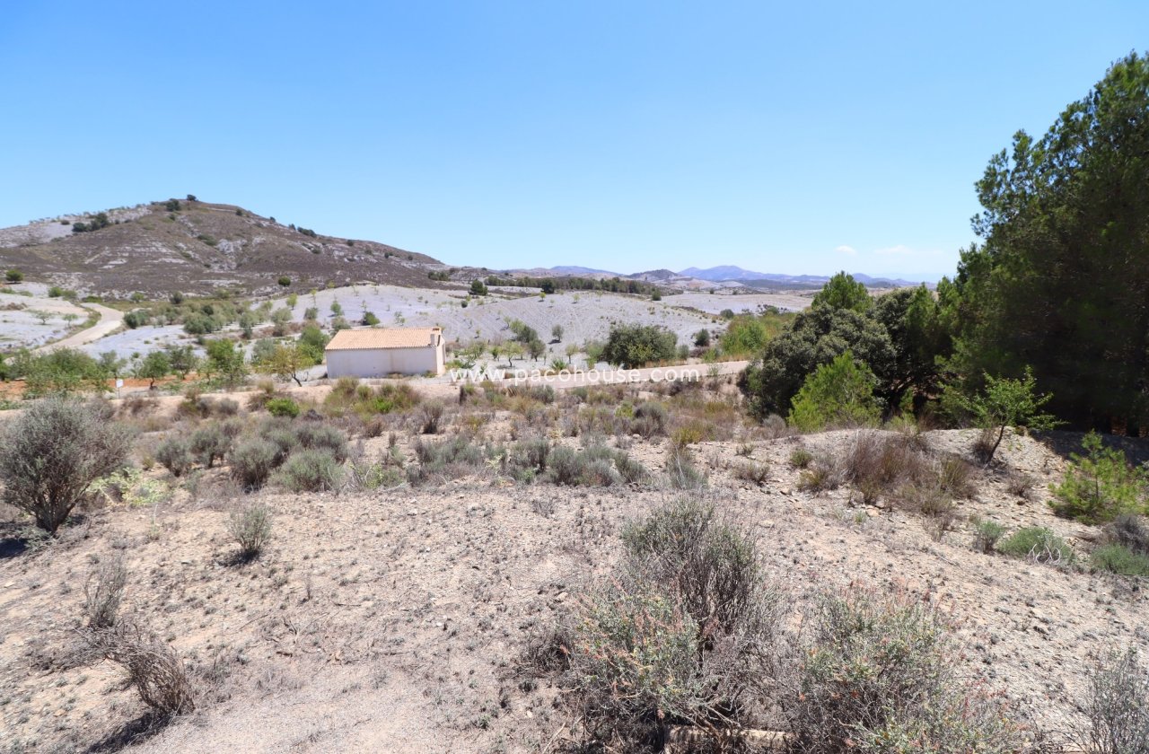 Resale - Plot / Land -
Zarzalico