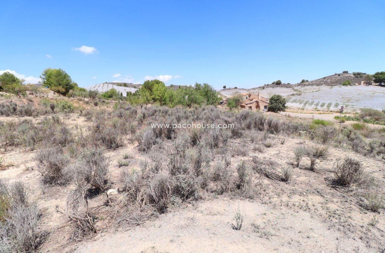 Resale - Plot / Land -
Zarzalico