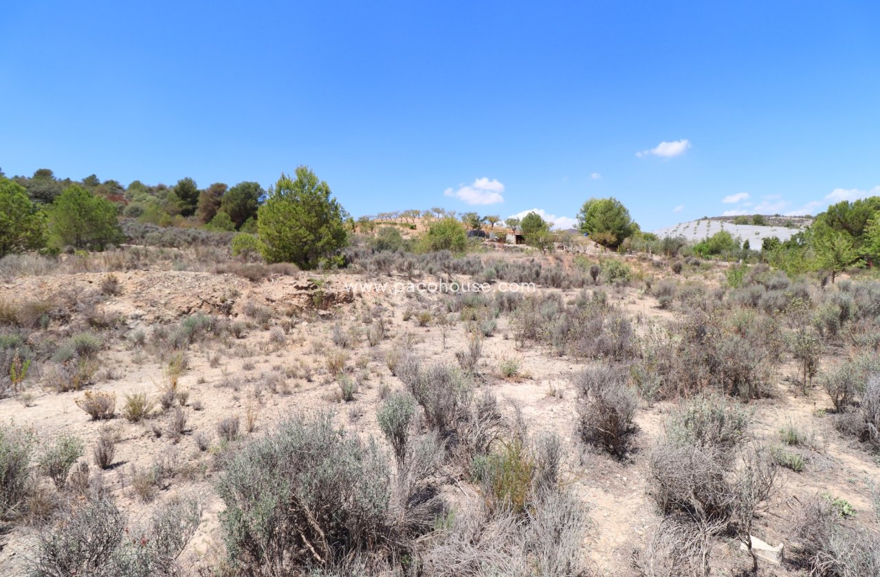 Resale - Plot / Land -
Zarzalico