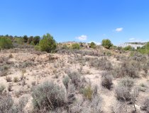 Resale - Plot / Land -
Zarzalico