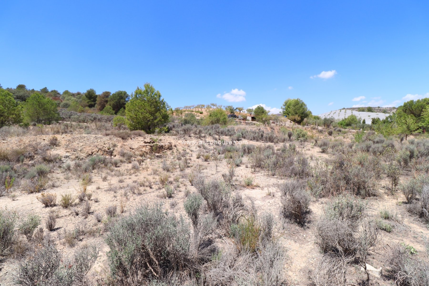 Resale - Plot / Land -
Zarzalico