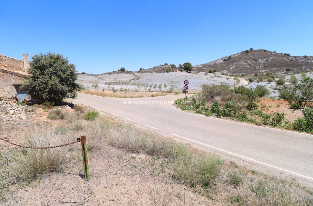 Resale - Plot / Land -
Zarzalico