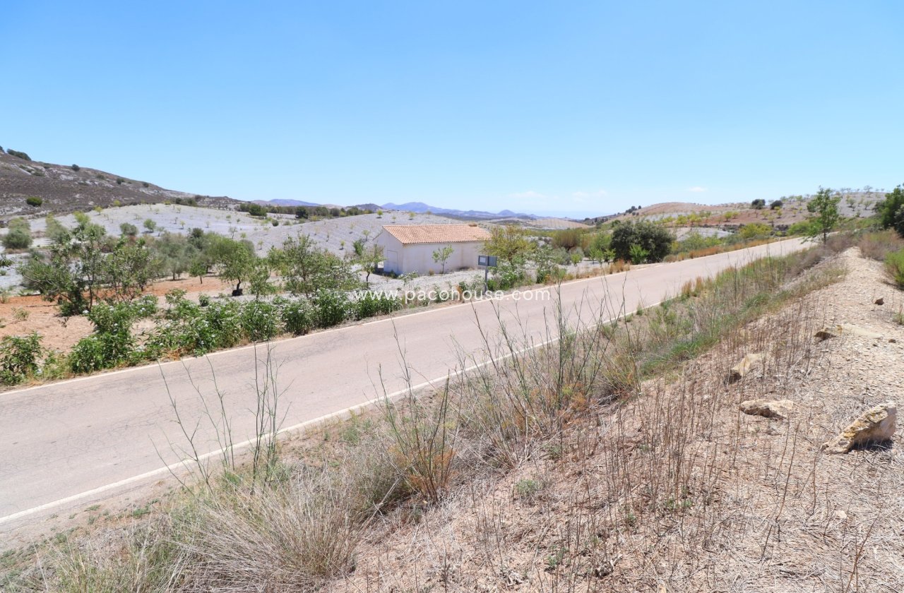 Resale - Plot / Land -
Zarzalico