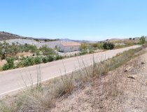 Resale - Plot / Land -
Zarzalico