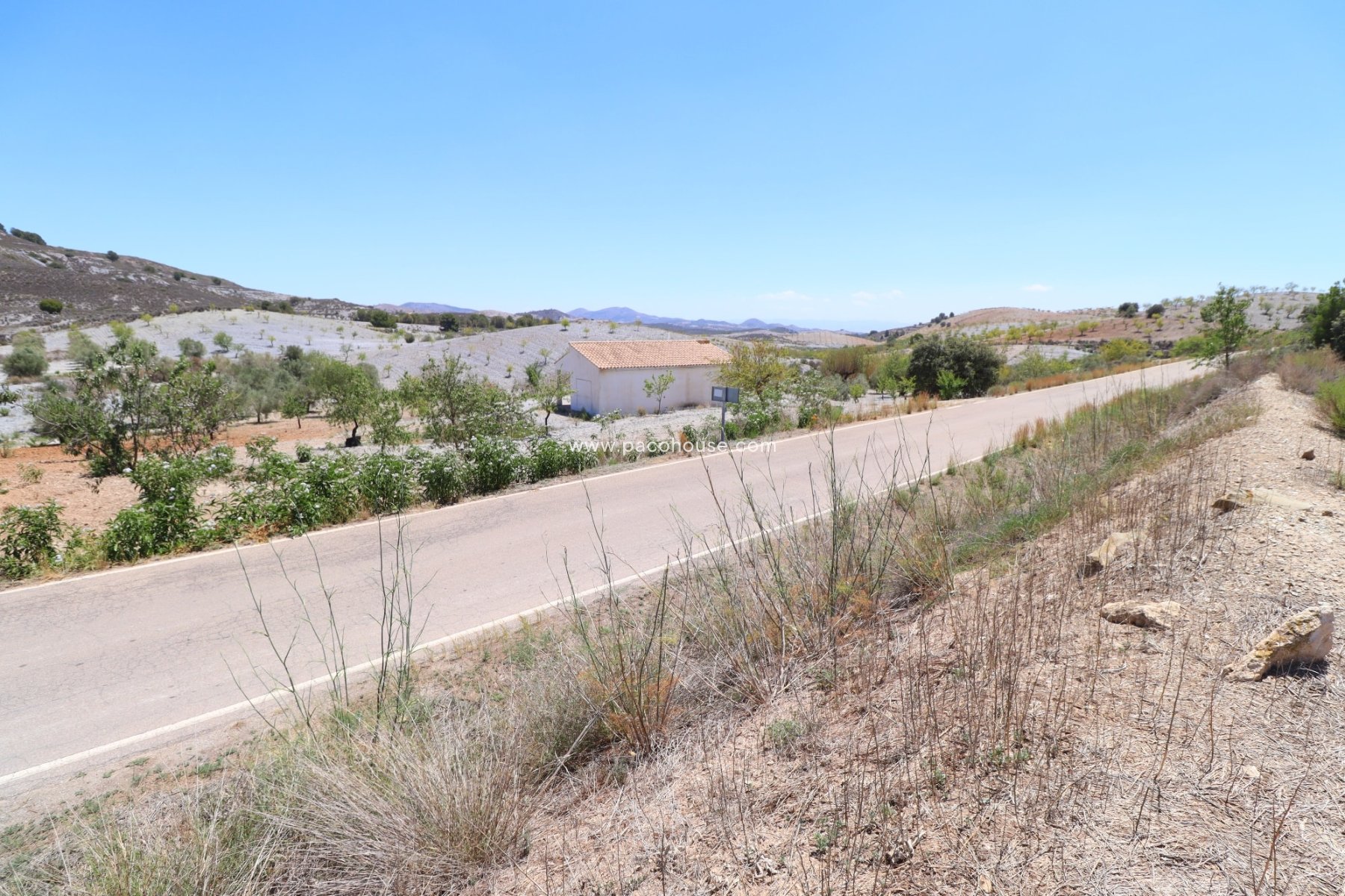 Resale - Plot / Land -
Zarzalico