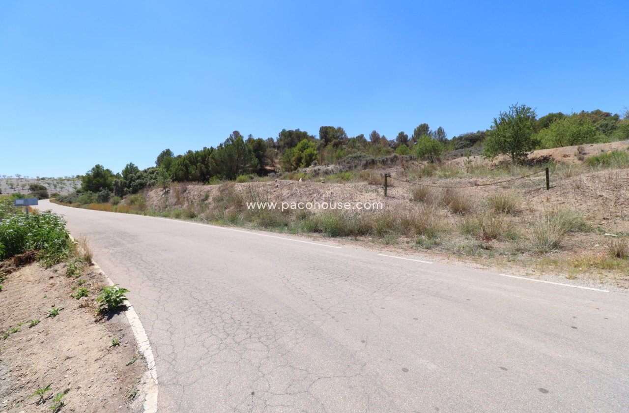 Resale - Plot / Land -
Zarzalico