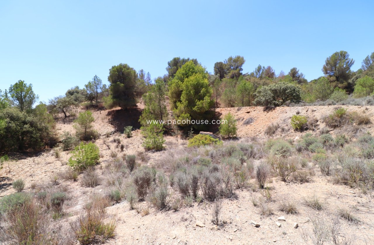 Resale - Plot / Land -
Zarzalico