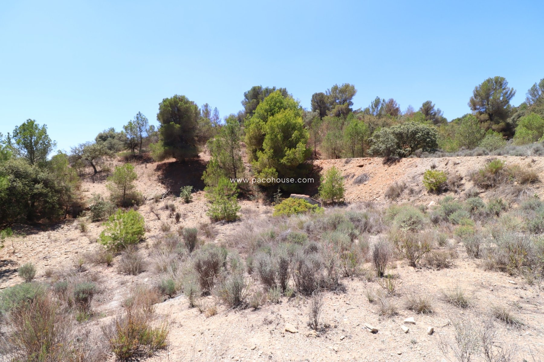 Resale - Plot / Land -
Zarzalico