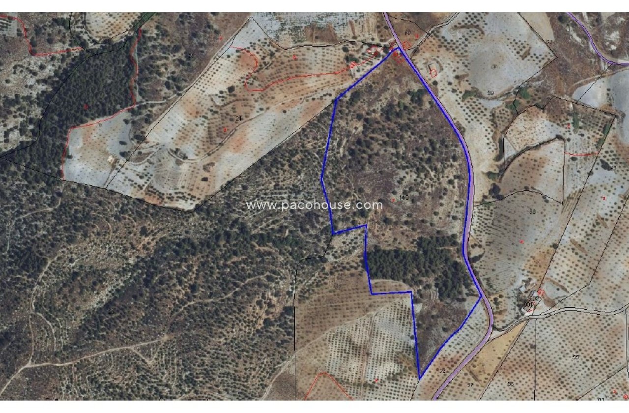 Resale - Plot / Land -
Zarzalico