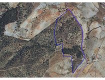 Resale - Plot / Land -
Zarzalico